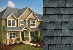 Image: House and Shingles
