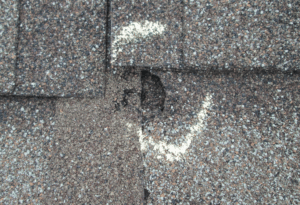 Damaged roofing shingles with visible buckling and granule loss, indicating signs of a compromised roof.